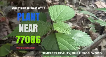Where to Find Wood Nettle Plants Near Houston, TX 77086
