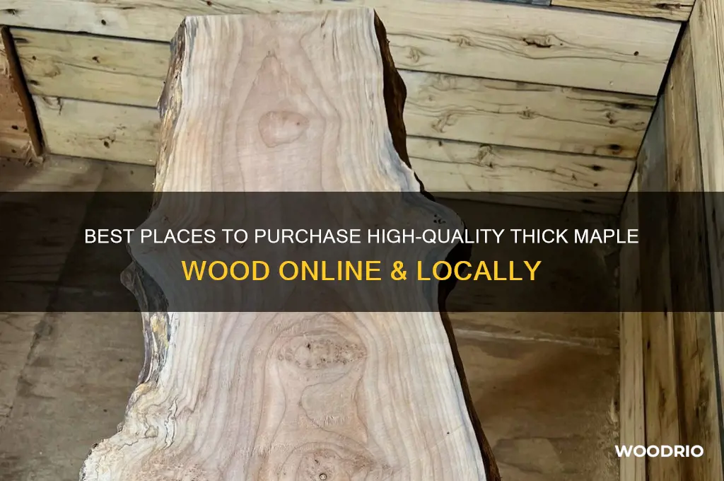 where to buy thick maple wood