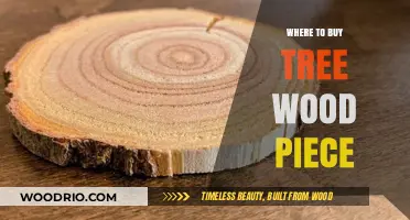 Best Places to Buy High-Quality Tree Wood Pieces for Your Projects