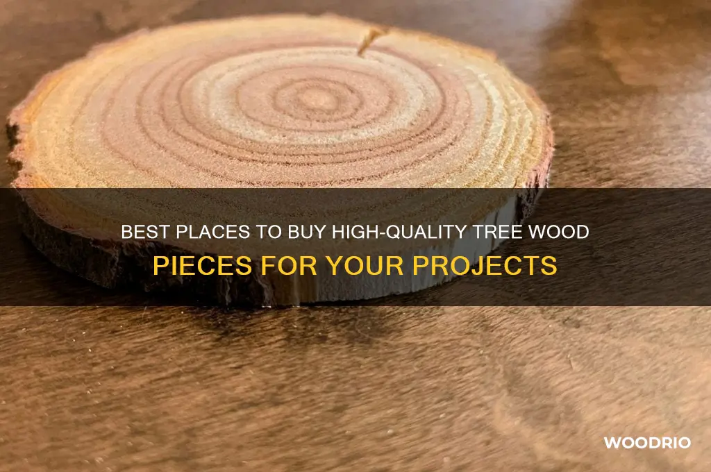 where to buy tree wood piece