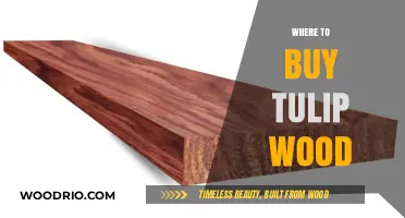 Where to Buy Tulip Wood: Top Suppliers and Purchasing Tips