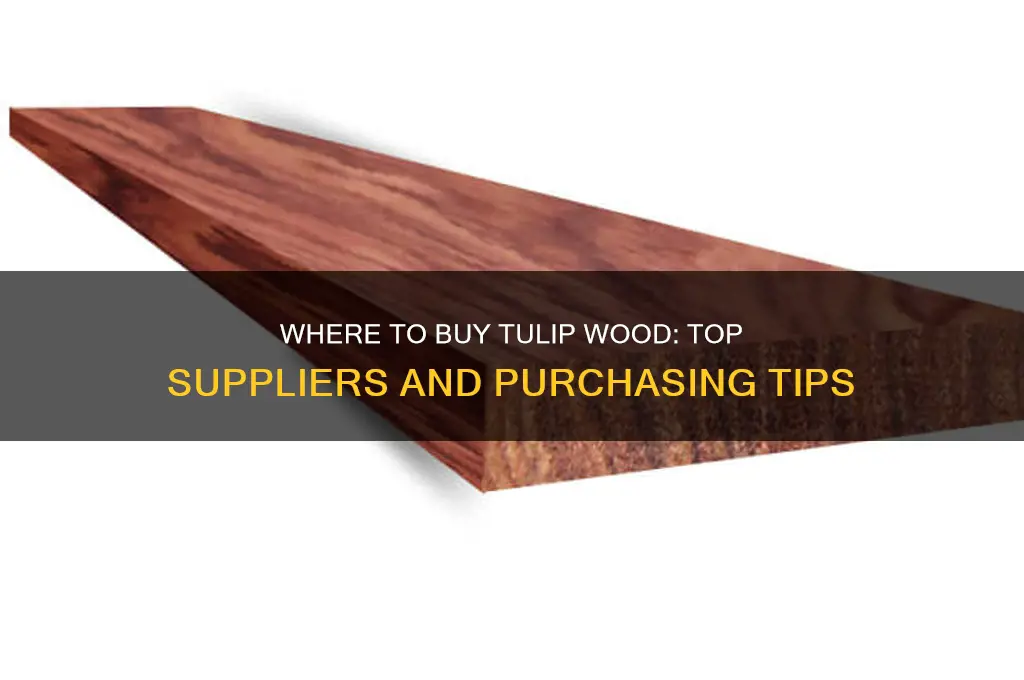 where to buy tulip wood