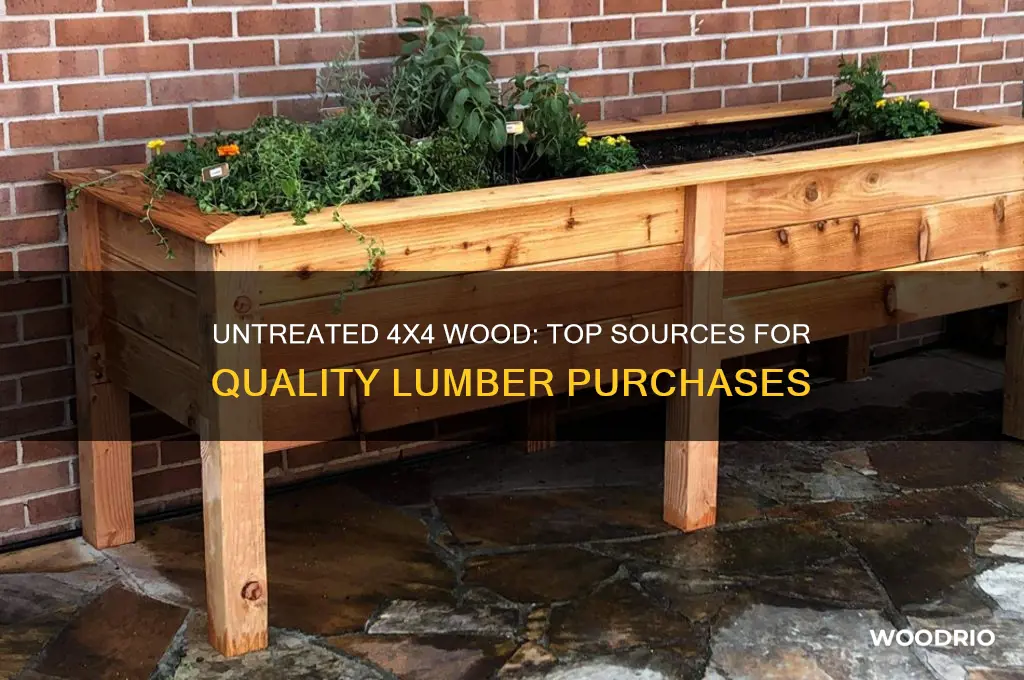 where to buy untreated 4x4 wood