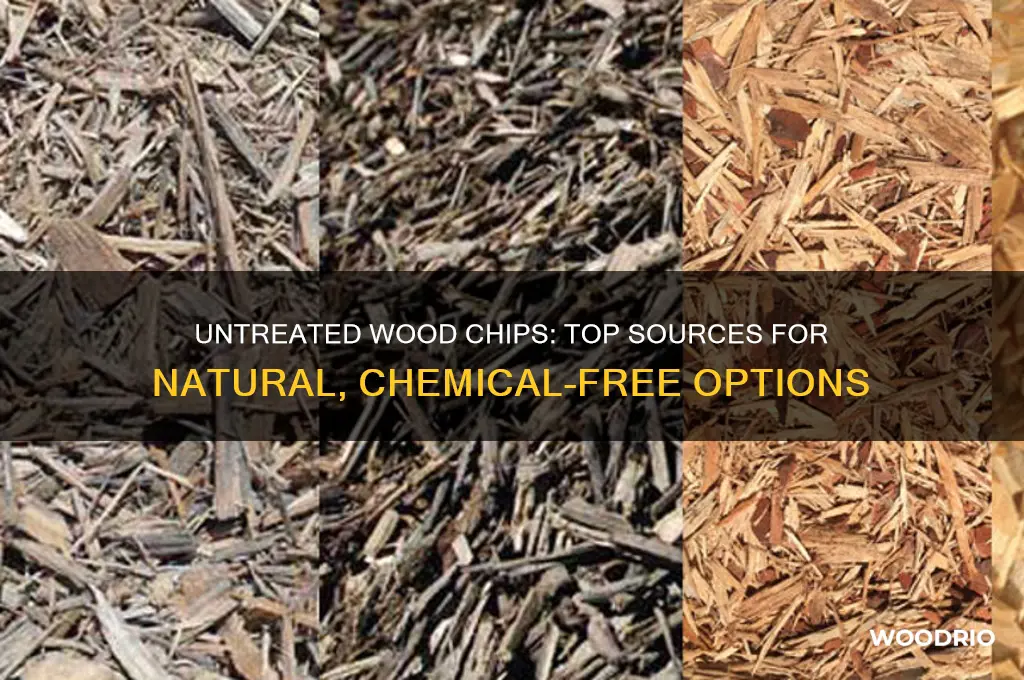 where to buy untreated wood chips