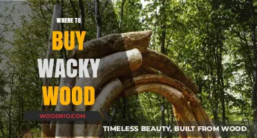 Discover Unique Sources for Wacky Wood: A Buyer's Guide