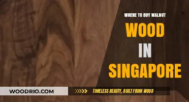 Best Places to Buy Quality Walnut Wood in Singapore