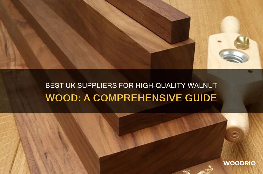 where to buy walnut wood uk