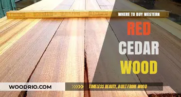 Best Sources to Purchase High-Quality Western Red Cedar Wood