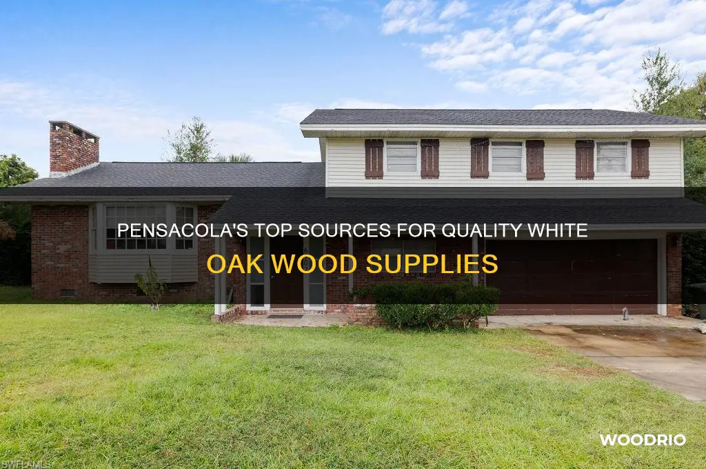 where to buy white oak wood in pensacola