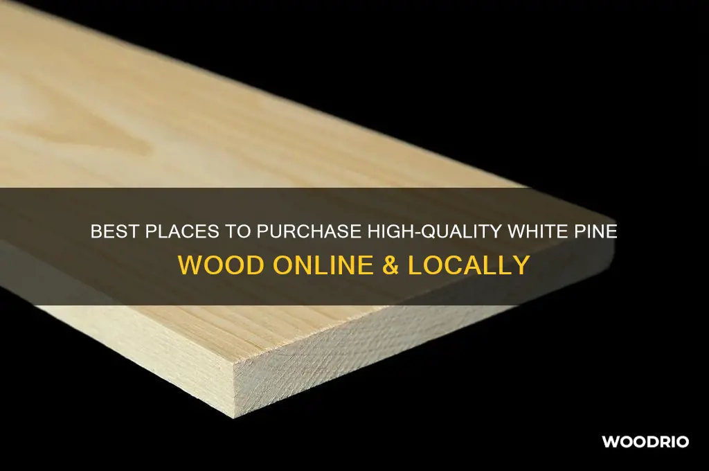 where to buy white pine wood