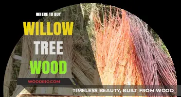Discover the Best Sources to Buy Willow Tree Wood Today