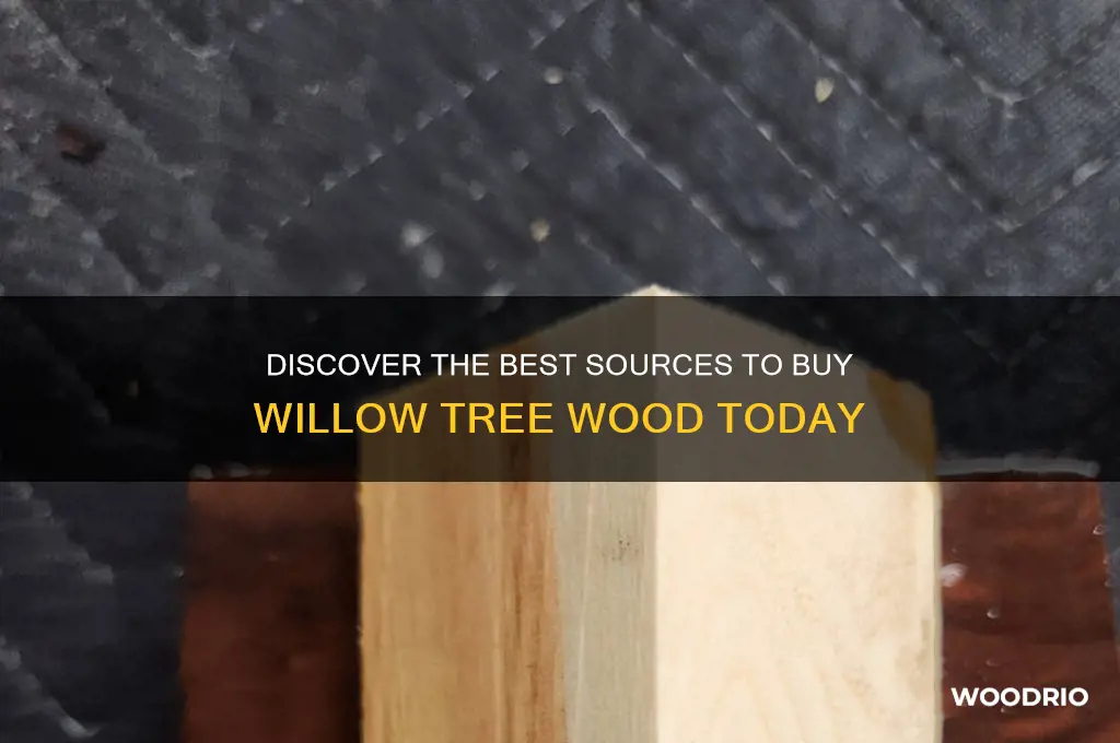 where to buy willow tree wood