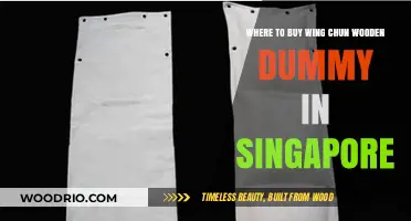 Best Places to Buy Wing Chun Wooden Dummy in Singapore