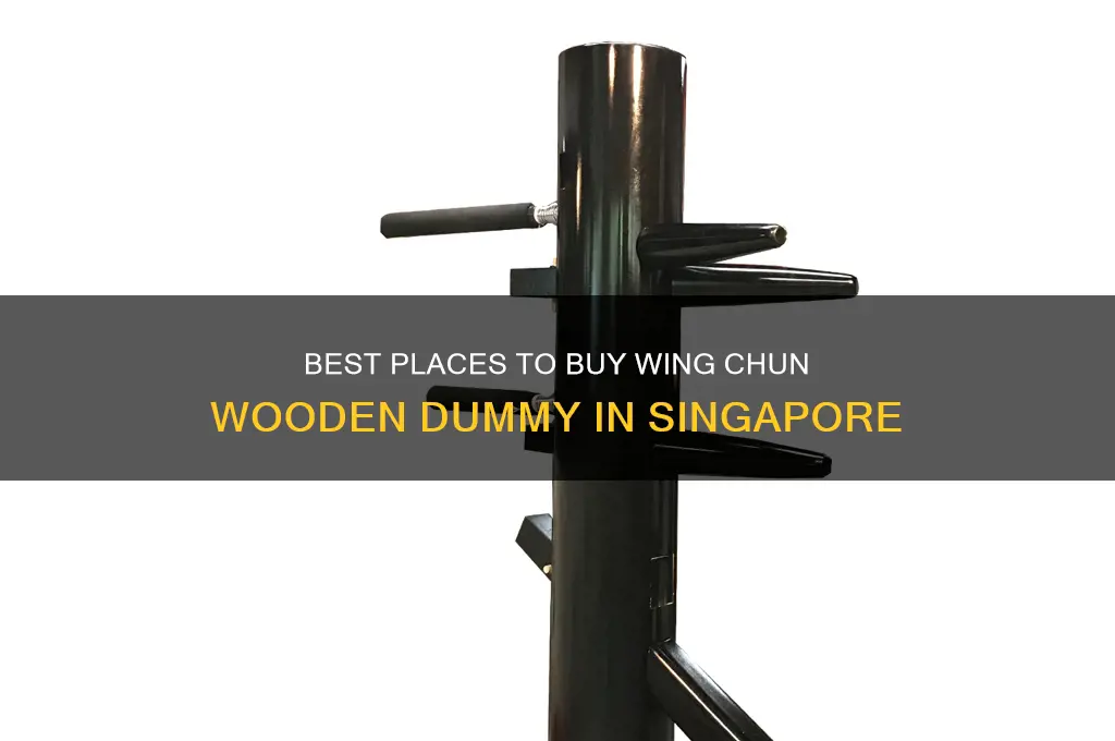 where to buy wing chun wooden dummy in singapore