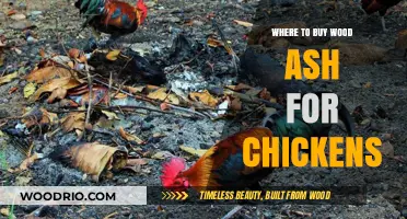 Best Sources to Buy Wood Ash for Healthy Chickens
