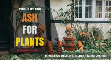 Best Sources to Buy Wood Ash for Healthy Plant Growth