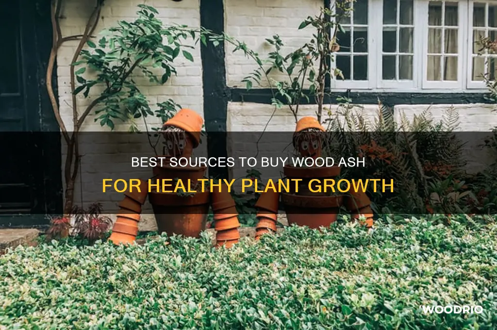 where to buy wood ash for plants