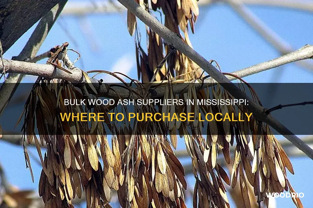 where to buy wood ash in bulk in mississippi