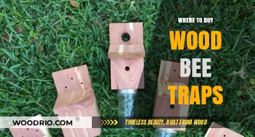 Effective Wood Bee Traps: Top Retailers and Online Sources to Buy
