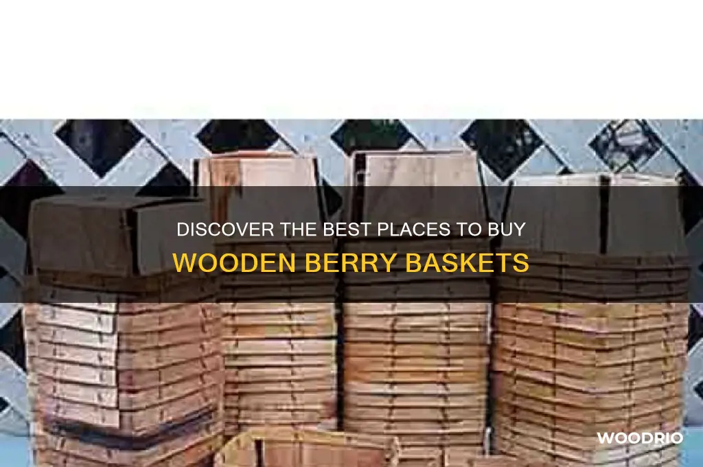 where to buy wood berry baskets