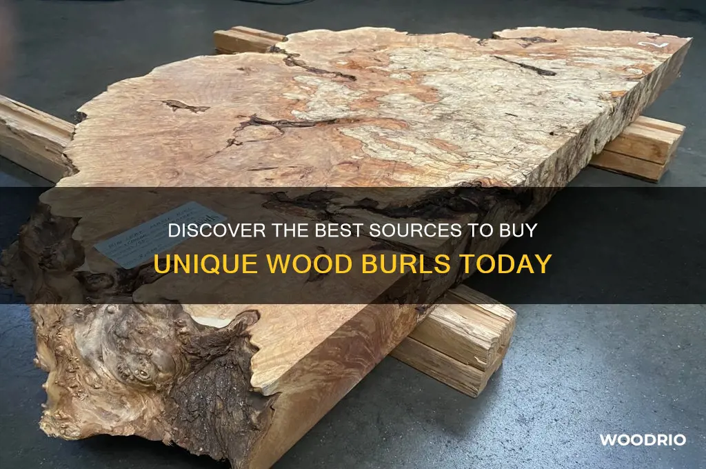 where to buy wood burls