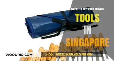 Best Places to Buy Wood Carving Tools in Singapore