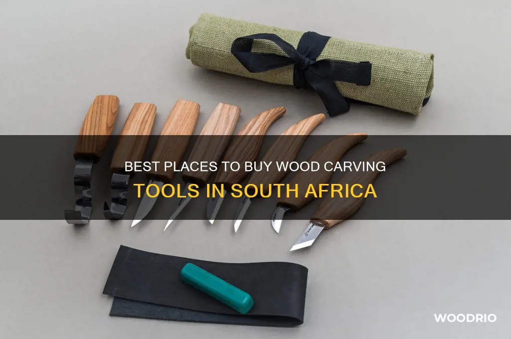 where to buy wood carving tools in south africa