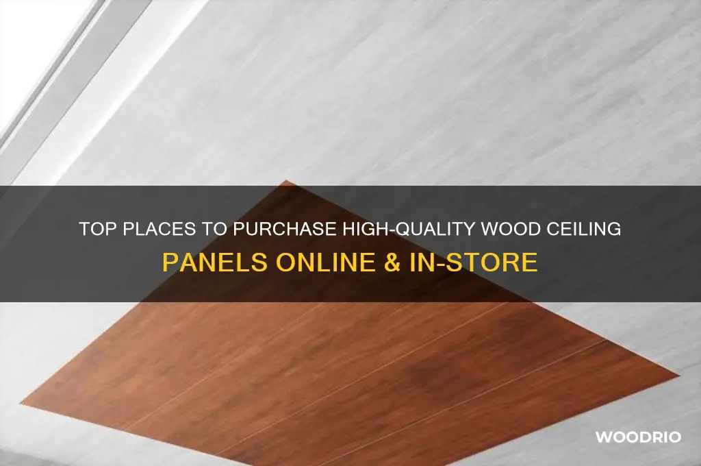 where to buy wood ceiling panels