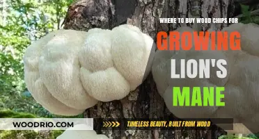 Best Sources for Wood Chips to Cultivate Lion's Mane Mushrooms