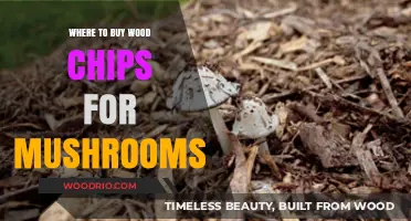Best Places to Buy Wood Chips for Growing Mushrooms