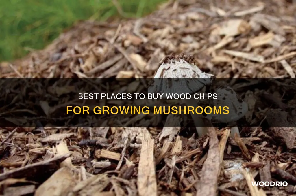where to buy wood chips for mushrooms