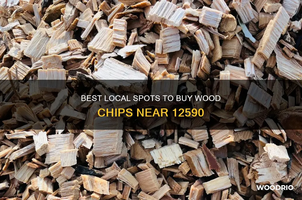 where to buy wood chips near 12590
