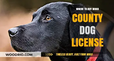 Where to Buy Wood County Dog License: A Quick Guide