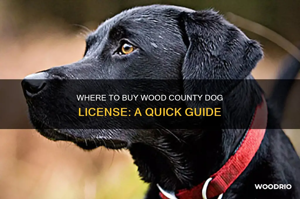 where to buy wood county dog license