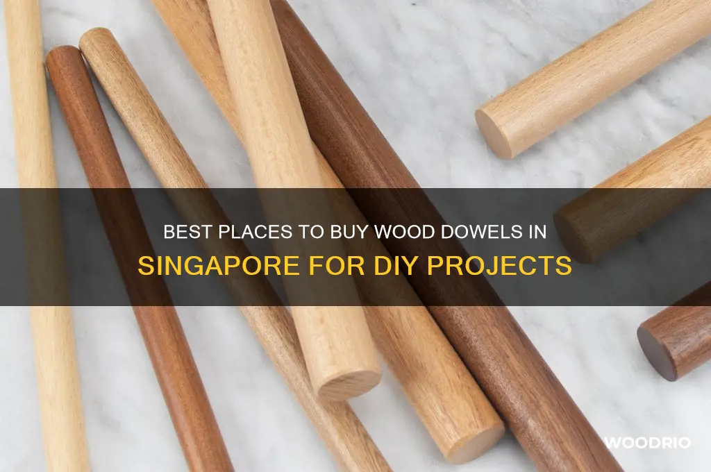 where to buy wood dowel in singapore
