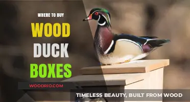 Best Places to Purchase Wood Duck Boxes for Your Backyard