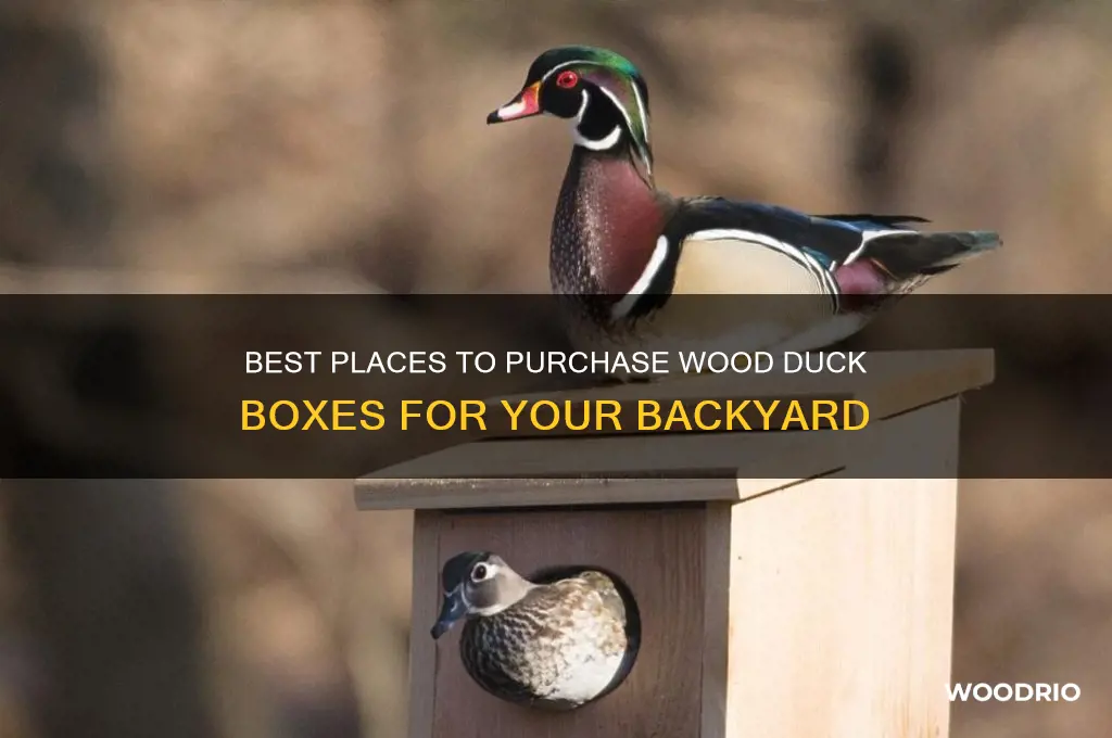 where to buy wood duck boxes