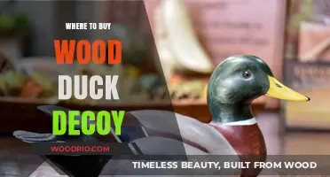 Top Spots to Purchase Realistic Wood Duck Decoys for Hunting