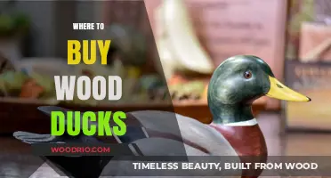 Best Places to Purchase Wood Ducks: A Comprehensive Guide