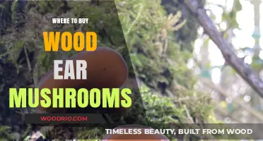 Discover the Best Places to Buy Wood Ear Mushrooms Online and Locally
