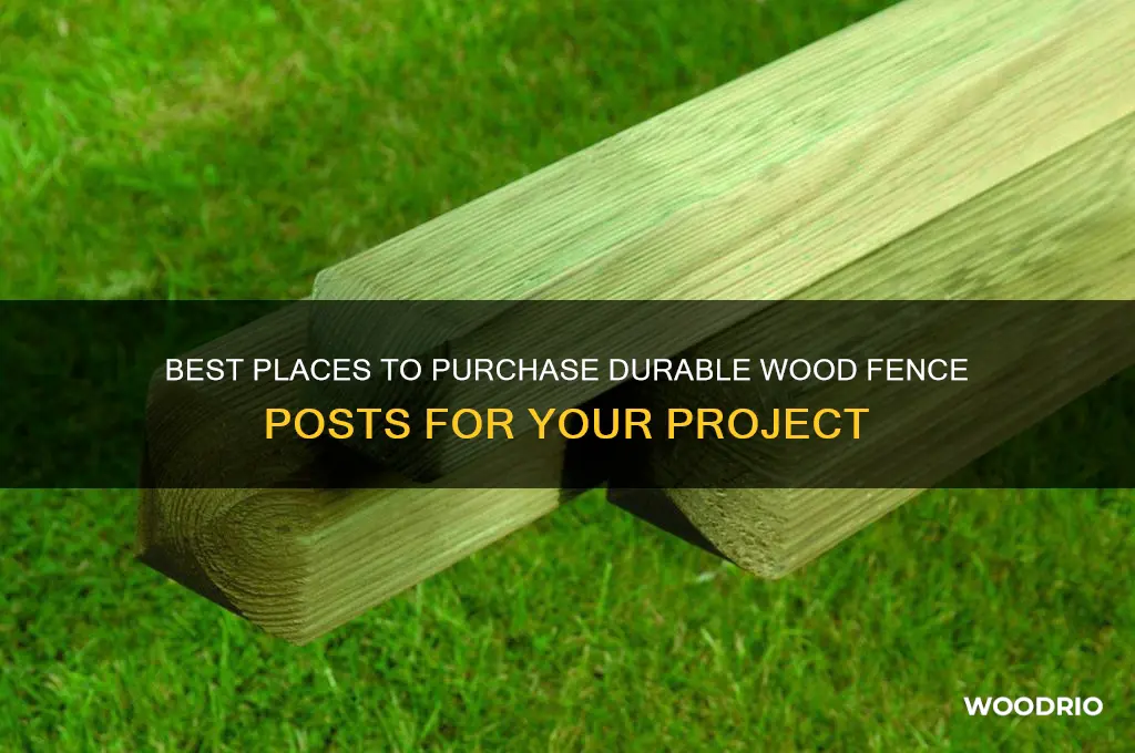where to buy wood fence posts