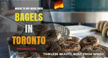 Discover Toronto's Best Wood-Fired Bagel Shops: A Tasty Guide