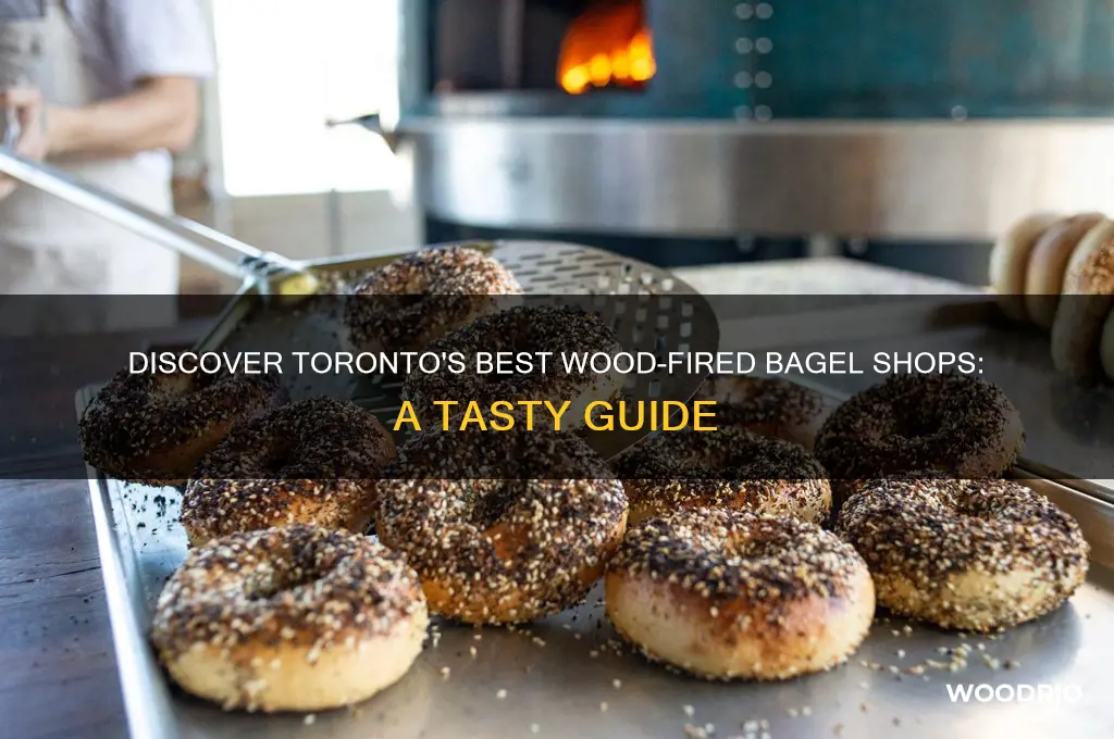where to buy wood fired bagels in toronto