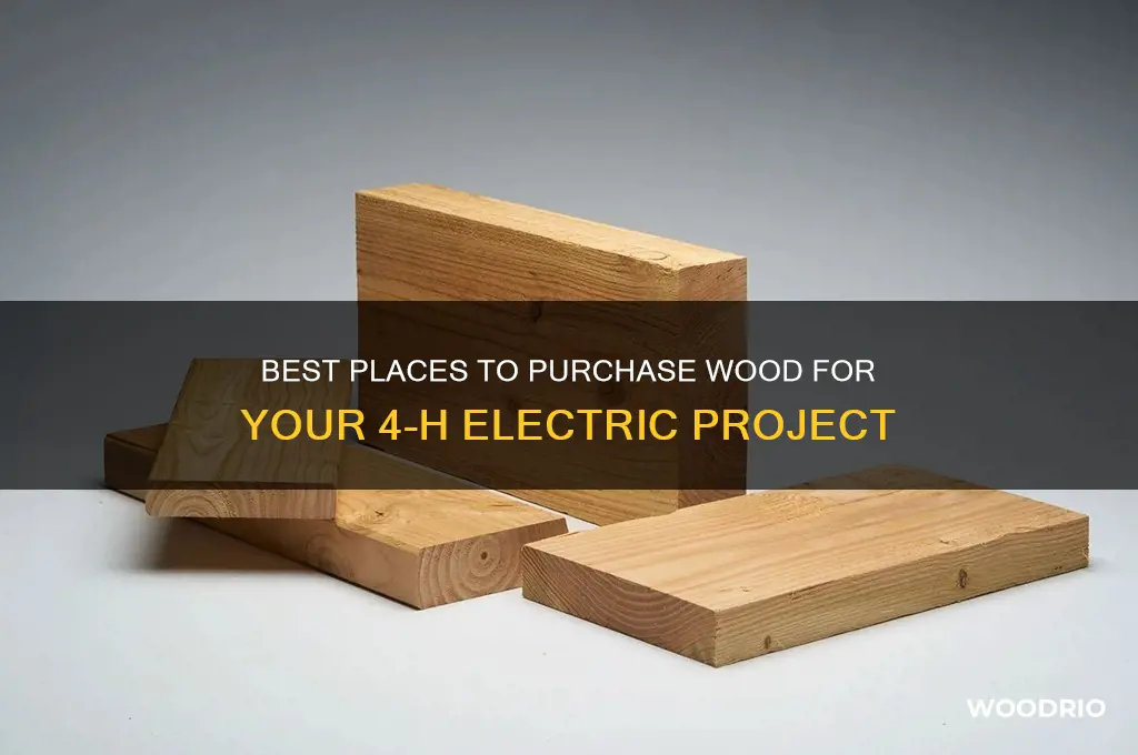 where to buy wood for 4 h electric project
