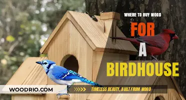 Best Places to Purchase Wood for Your DIY Birdhouse Project