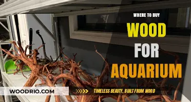 Best Places to Buy Aquarium-Safe Wood for Your Tank Setup