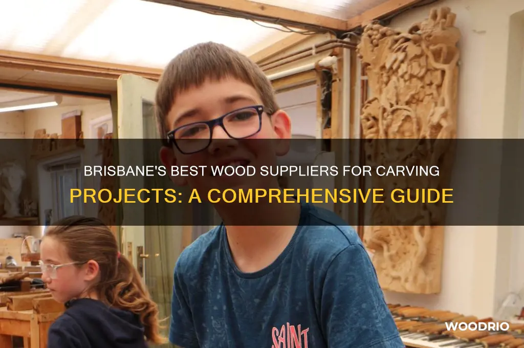 where to buy wood for carving brisbane