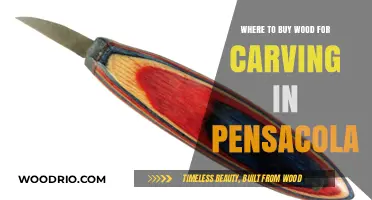 Pensacola's Best Wood Carving Suppliers: Where to Buy Quality Materials
