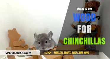 Best Places to Buy Safe Wood for Your Chinchilla's Cage