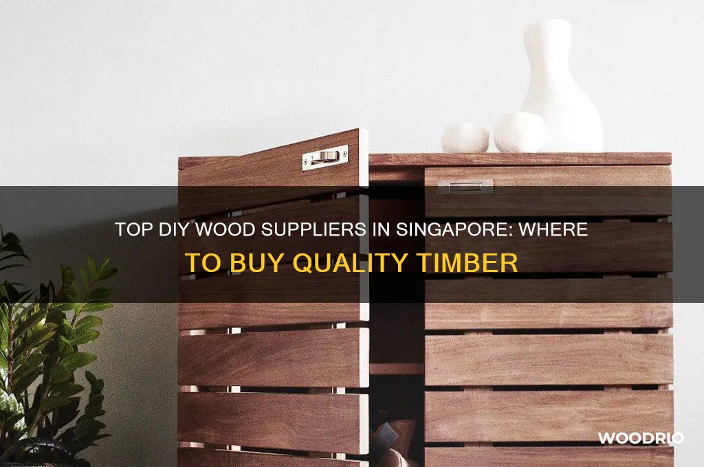 where to buy wood for diy in singapore